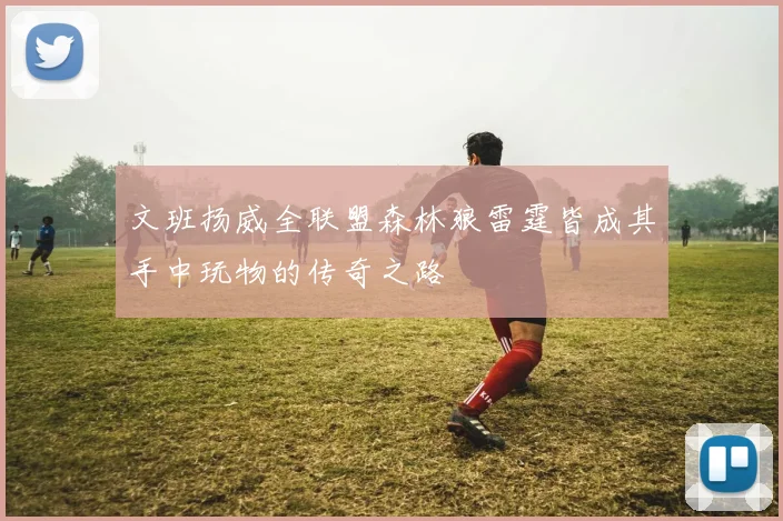 文班扬威全联盟森林狼雷霆皆成其手中玩物的传奇之路
